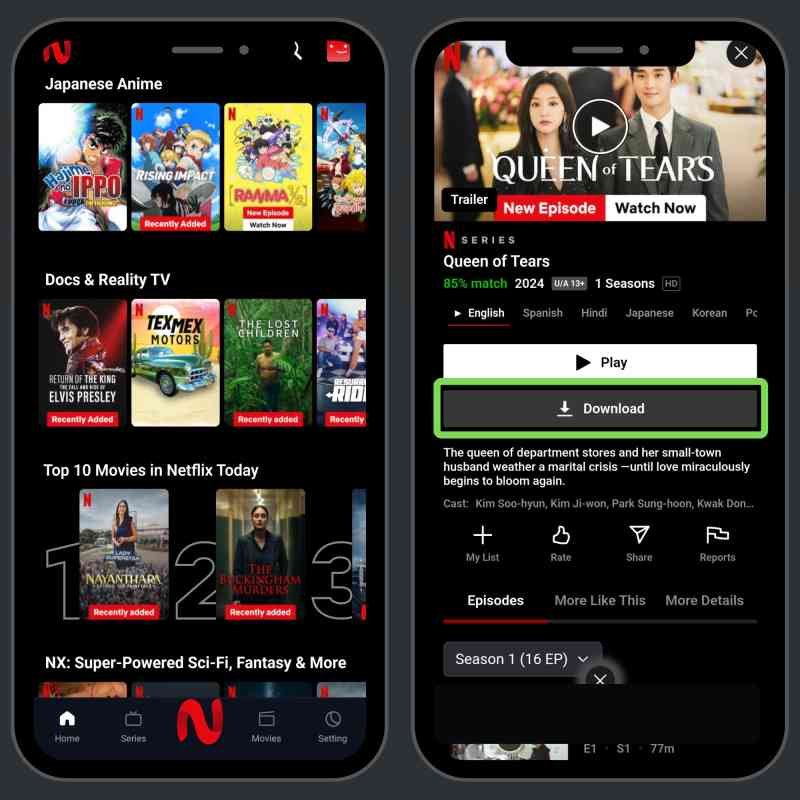 Download Movies From Netflix Mirror App