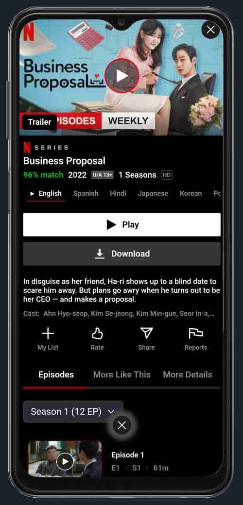 Download Netflix Mirror App